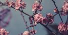 AI Image Denoiser: Remove Grain from Photo  | Skylum(83)